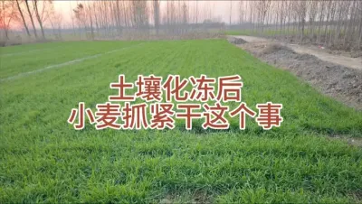 ĿѾץС 