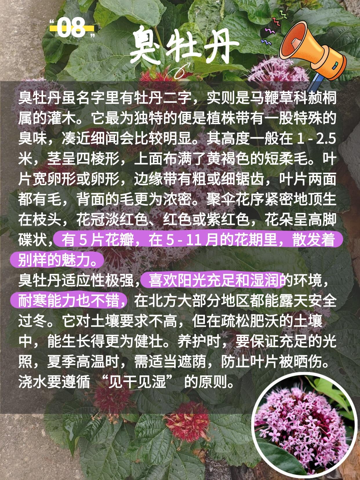 https://static.ixuenong.com/pxn/uploads/prod/thirdfile/2025/03/afa634091fa2491a071a912b0c97138f.jpg