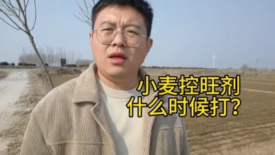 СʲôʱЧ 