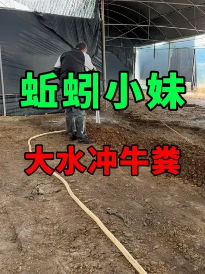 ţ #ֳ #ũ #ũ崴ҵ