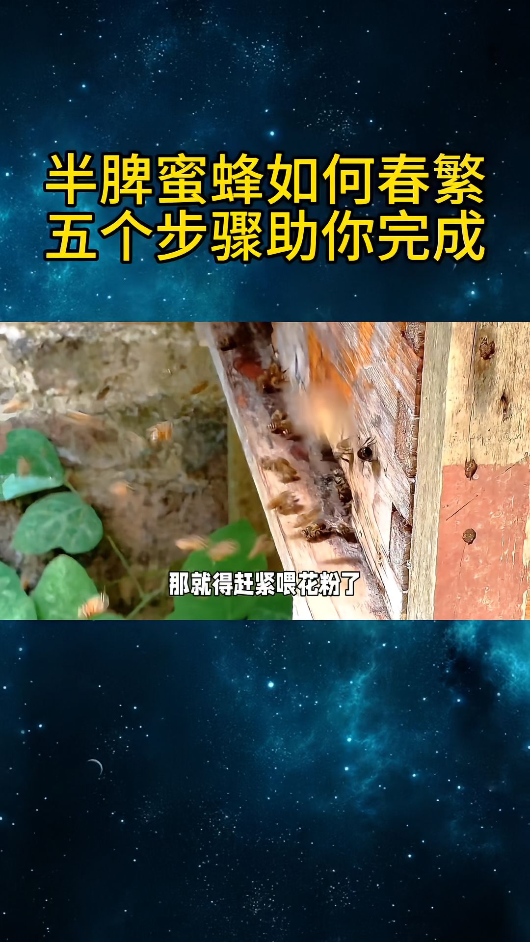 https://static.ixuenong.com/pxn/uploads/prod/thirdfile/2025/04/00a1d9db4ff9735e62c530908e0b76c5.jpg