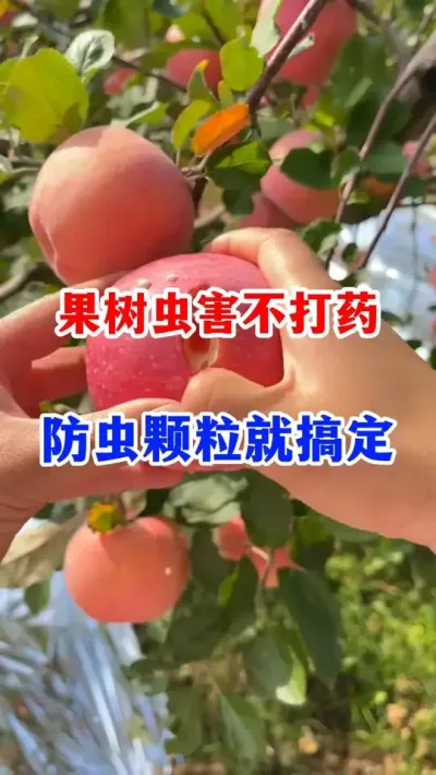 溦ɷ #ݪֲ  #԰ #ũҵݪֲ #溦