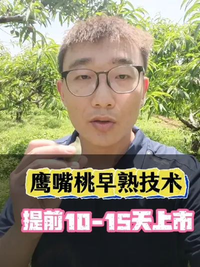 ӥ����������������ǰ10-15������ #ӥ���� #ӥ���ҹ��� #������ѧũ�� #������������ #ӥ������������