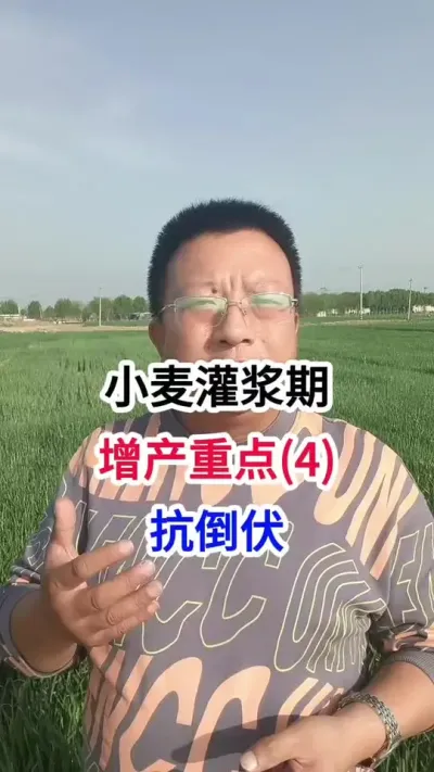 С��ཬ���������ص�(4)�������� С��ཬ���������ص�(4)��������#С��ݪֲ #С��ݪֲ�������� #������ũҵ #С��߲����� #ũ��֪ʶ����