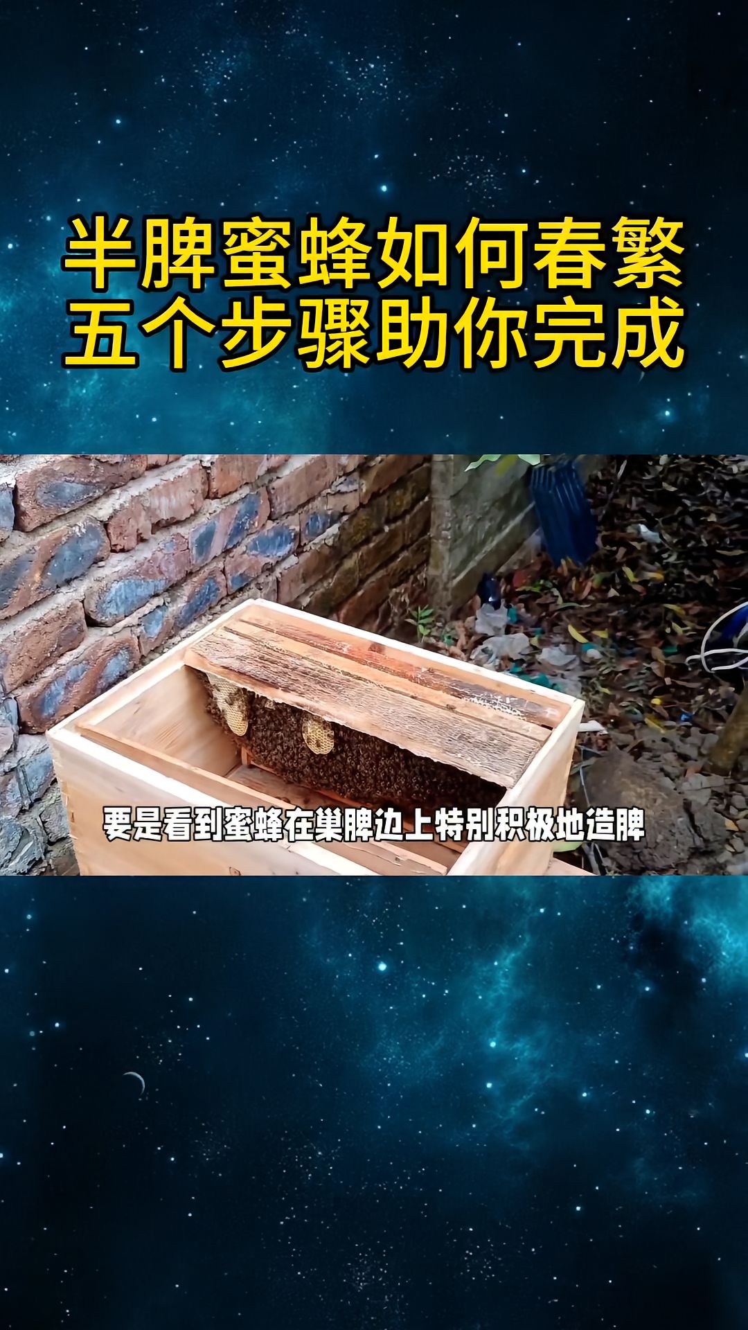 https://static.ixuenong.com/pxn/uploads/prod/thirdfile/2025/04/0e010a96bd8bac26c014e0567899b508.jpg