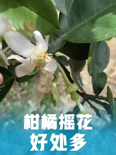 ����ҡ�������#����ݪֲ #��ũ������ #��ũ���� #�������� #������ũ