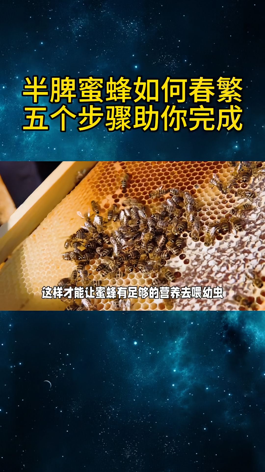 https://static.ixuenong.com/pxn/uploads/prod/thirdfile/2025/04/108eac8676072ecc9e652bd21c37a028.jpg