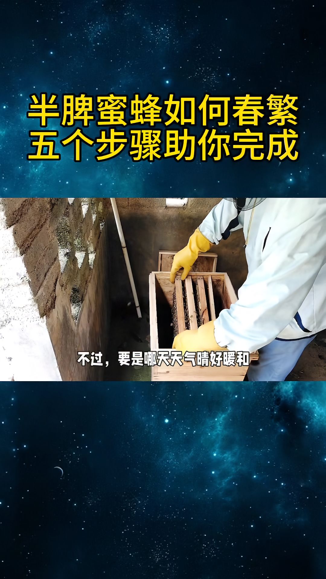 https://static.ixuenong.com/pxn/uploads/prod/thirdfile/2025/04/109366c8dd980b9a4413541e3f760b25.jpg
