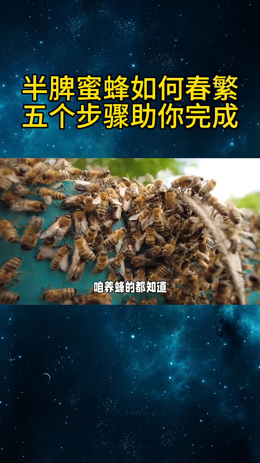 https://static.ixuenong.com/pxn/uploads/prod/thirdfile/2025/04/109f15987cbfd985d7d17745d9ce04ec.jpg