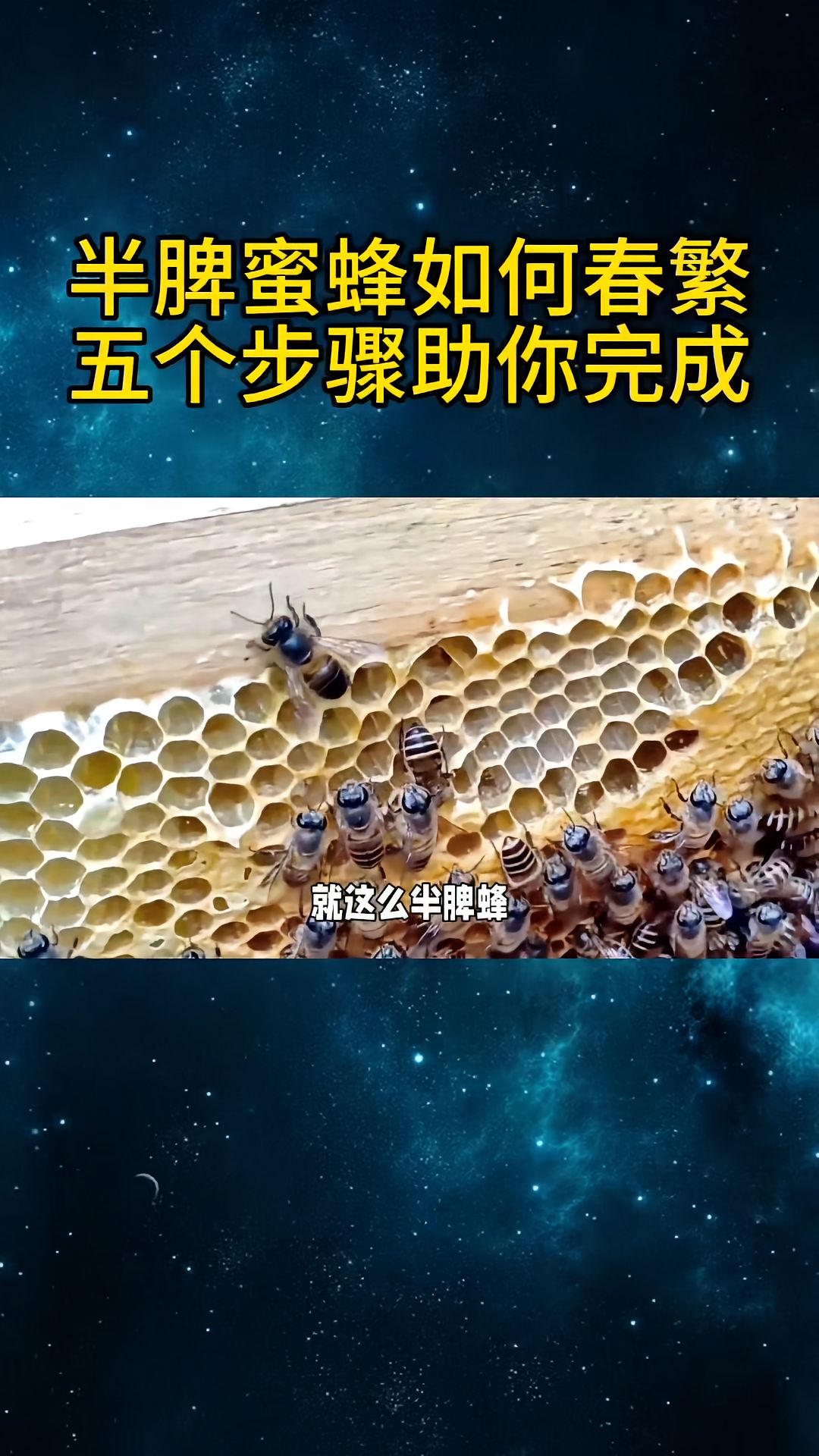 https://static.ixuenong.com/pxn/uploads/prod/thirdfile/2025/04/15ff8fba3cabeb266321828ba8a89f4a.jpg