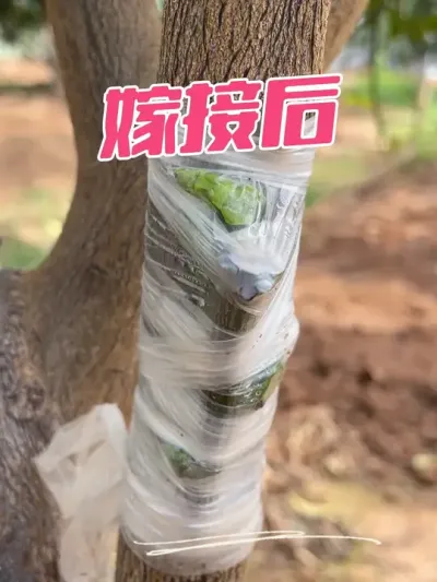 �޽Ӻ�#������ũ #��ũ������ #ݪֲС���� #ũҵ�����ƹ� #�޽�����