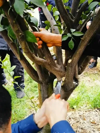#̽޼ #˵̽
