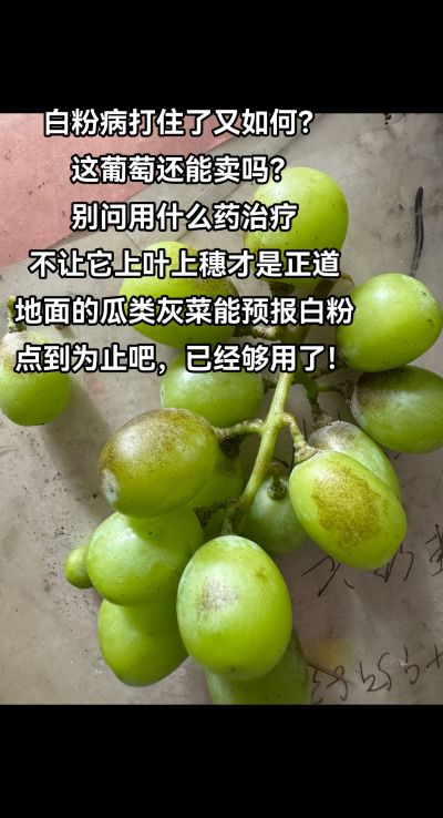 ׷۲