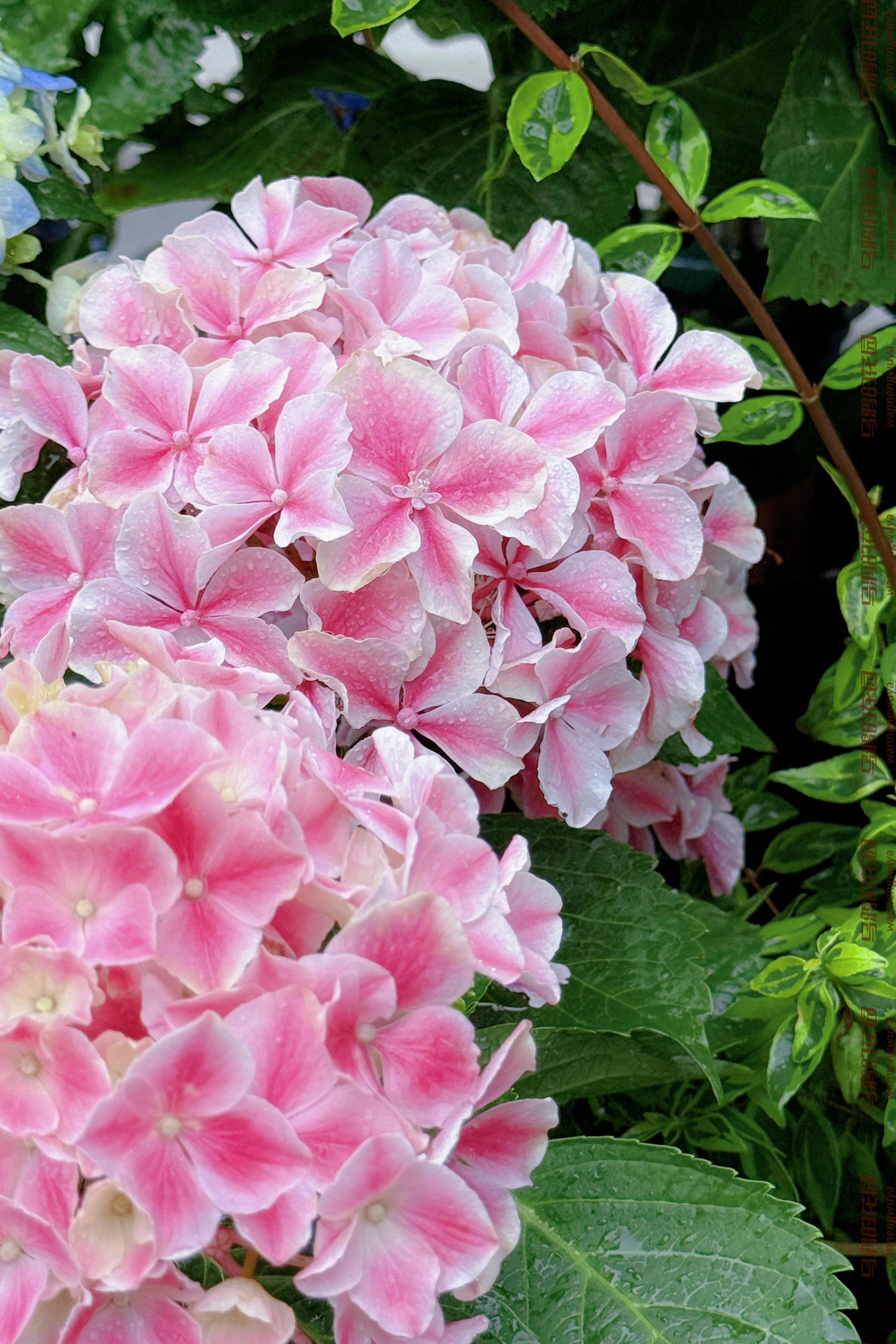 https://static.ixuenong.com/pxn/uploads/prod/thirdfile/2025/04/24fcdec714d38927d8fcfa9e4a6a5500.jpg