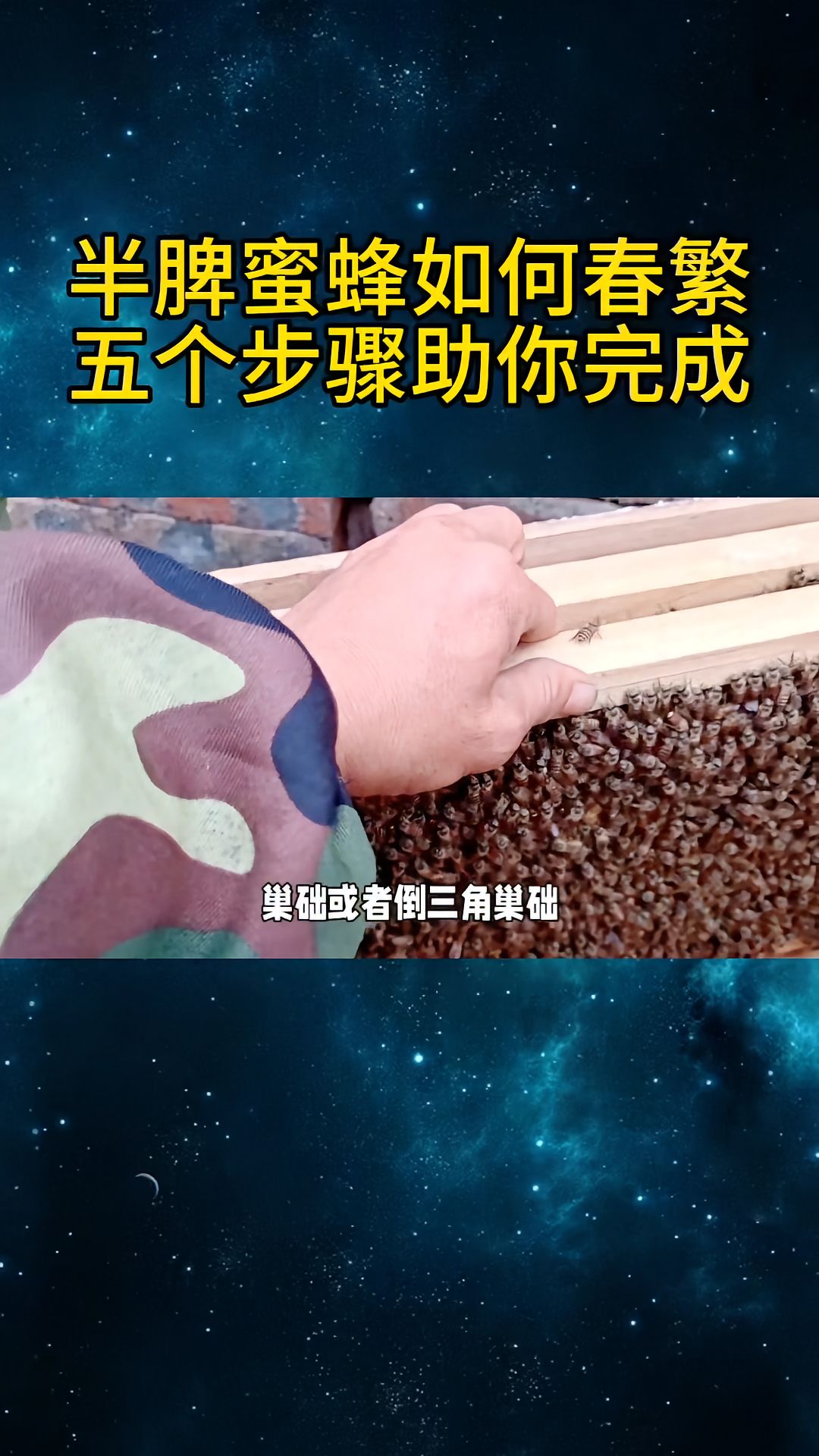 https://static.ixuenong.com/pxn/uploads/prod/thirdfile/2025/04/2b763c083f56bc82855ae60f068dd4b3.jpg