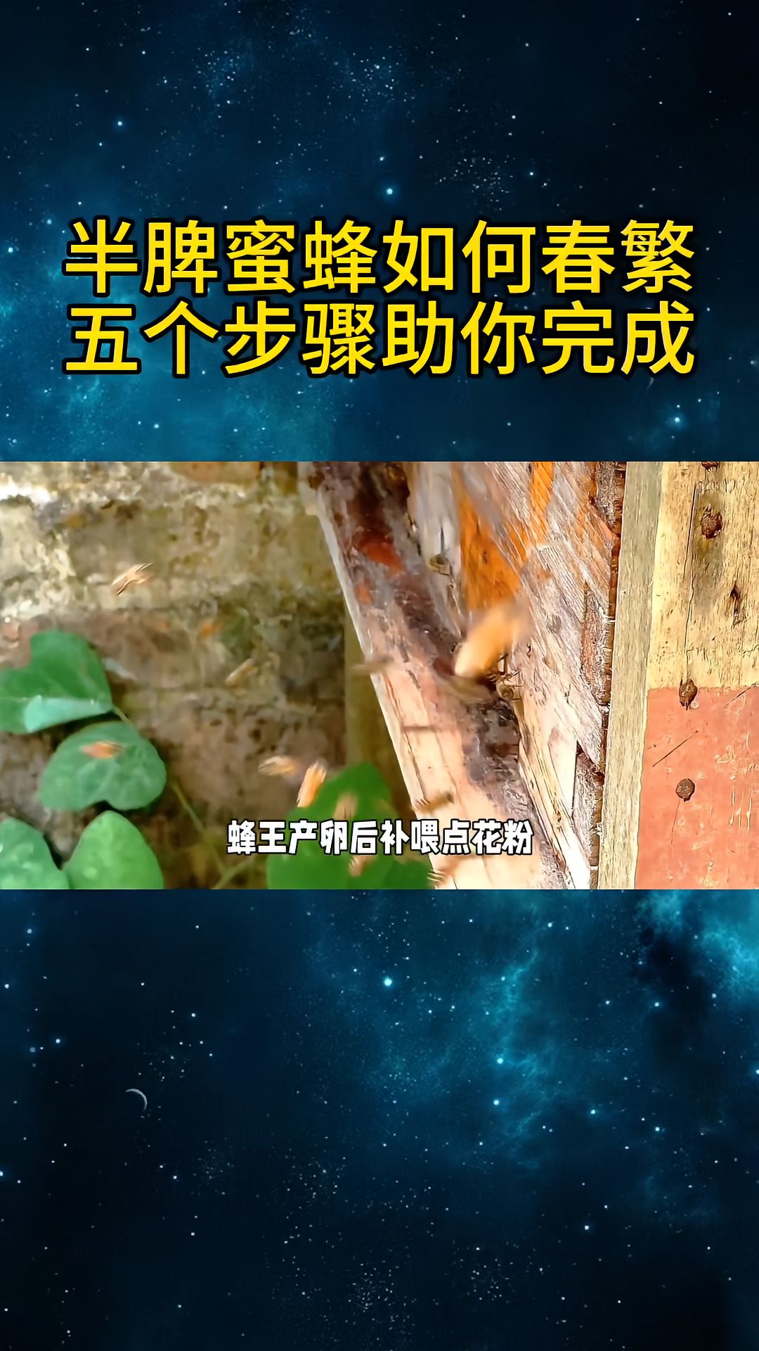 https://static.ixuenong.com/pxn/uploads/prod/thirdfile/2025/04/2c25ca09e24d5f601fd4c73dbd8245b5.jpg