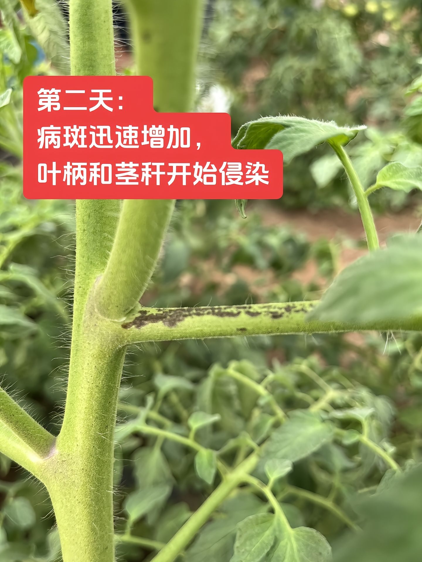 https://static.ixuenong.com/pxn/uploads/prod/thirdfile/2025/04/2e760a40c23ce7917837ea4704fe6ea4.jpg
