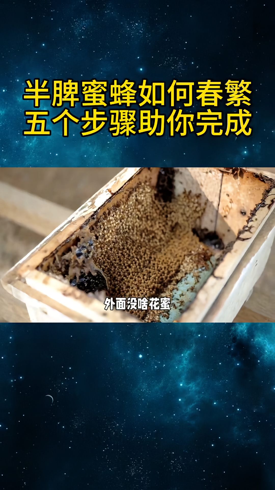https://static.ixuenong.com/pxn/uploads/prod/thirdfile/2025/04/2f3b3d31759496e1e49311ab7a9d25ee.jpg
