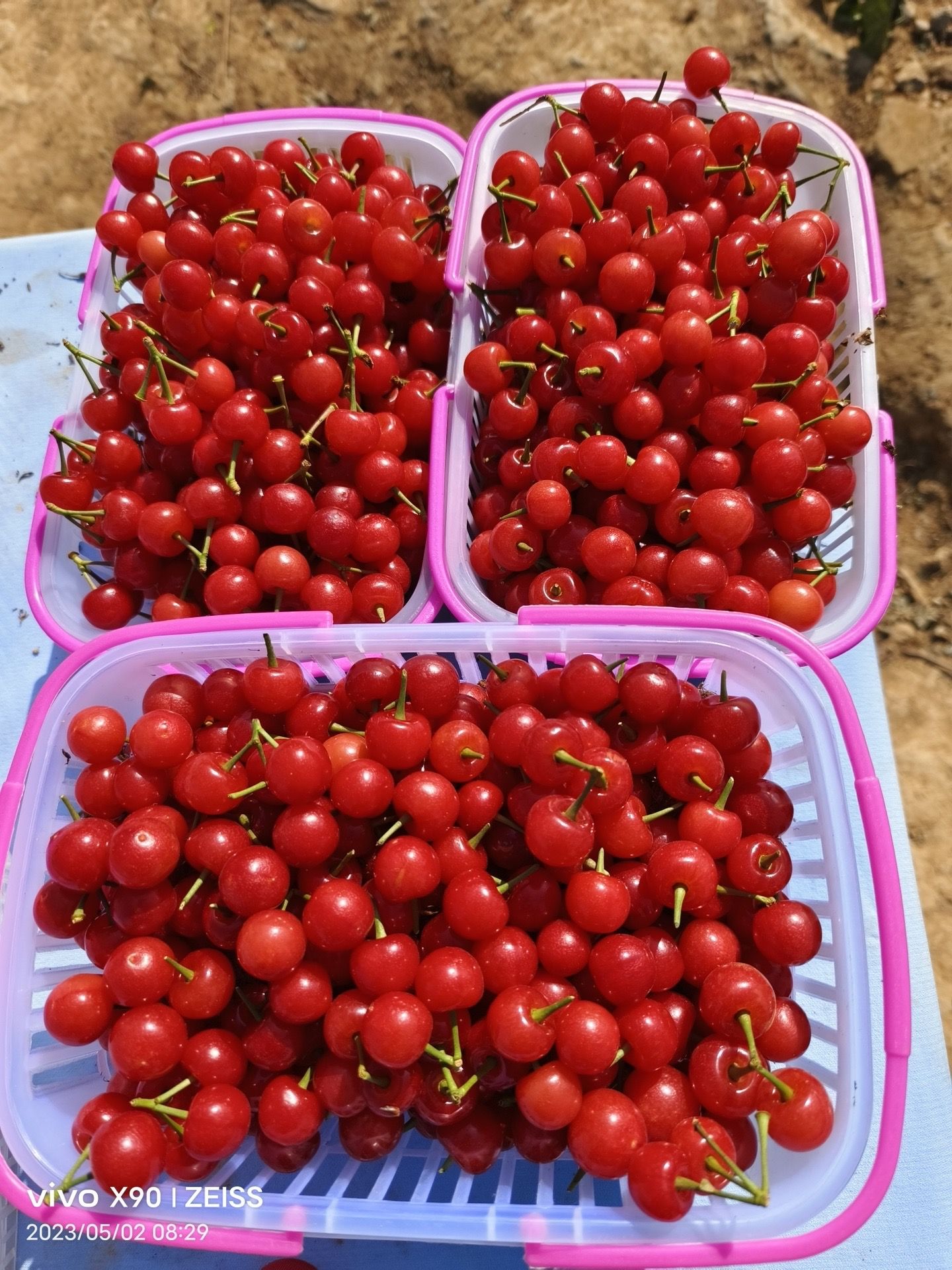 https://static.ixuenong.com/pxn/uploads/prod/thirdfile/2025/04/2feb60d269c694ca5495af4d61fb9d6d.jpg