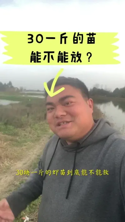 不要说一斤虾苗出几多制品虾才是正常，要看自己能出几多，别人的数据再合理也是别人的#小龙虾养殖 #一直肥