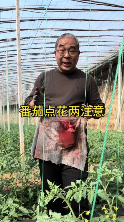 ���ѵ㻨2ע�أ��� #���������� #��ũ������ #ԭ����Ƶ