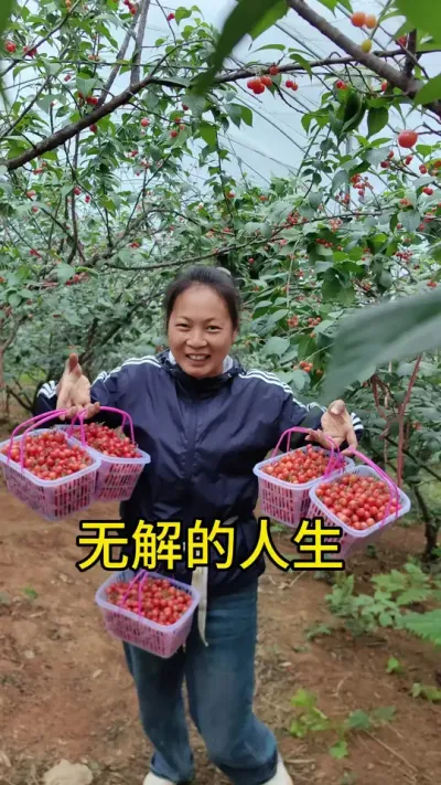 ��������һ���޽������д���˴����ﶬ���ƿ��ǹ��������Ͼ��ǻ�����ʱ���������������������Ƕ������й��µ�������������Ļ�Խ��Խ������΢ȱ������һ��������Ҫ�ú�����Ŀ�ɬ���ͻ���ת�ۼ������Ƕ�����������