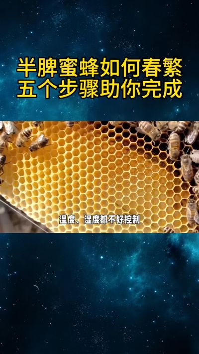?Ƣ۷䴺ָ۷Ҫʱ취ֳɴ۷

1??ೲƢĳƢҪƢ۷ҪĳƢĿ̫۷Իסв溦

2??ʵι
