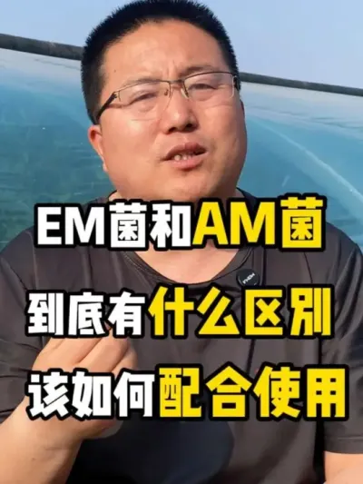 emamʲôʹ #EM #Em #Am #AM #