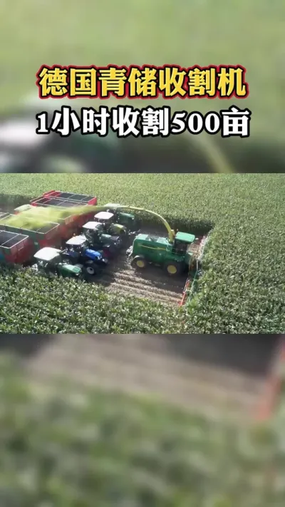 德国青储饲料收割机！收割盘等于9辆轿车的宽度，1小时就能收割上百亩地！#农业机械 #现代农业机械 #青储收割机 