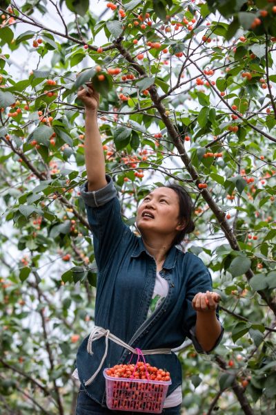 ÿһ��ƣ�͵�˲�������ڼ����û��������Ŀ�����û�������ĵ�����ֻ��ú��������ú����������Լ��Ĺ��������Լ���·������̰�ڲ���������ɹ����û��ϵ��ֻΪ����һ����û�������ĺ�����ֻ�к����������������