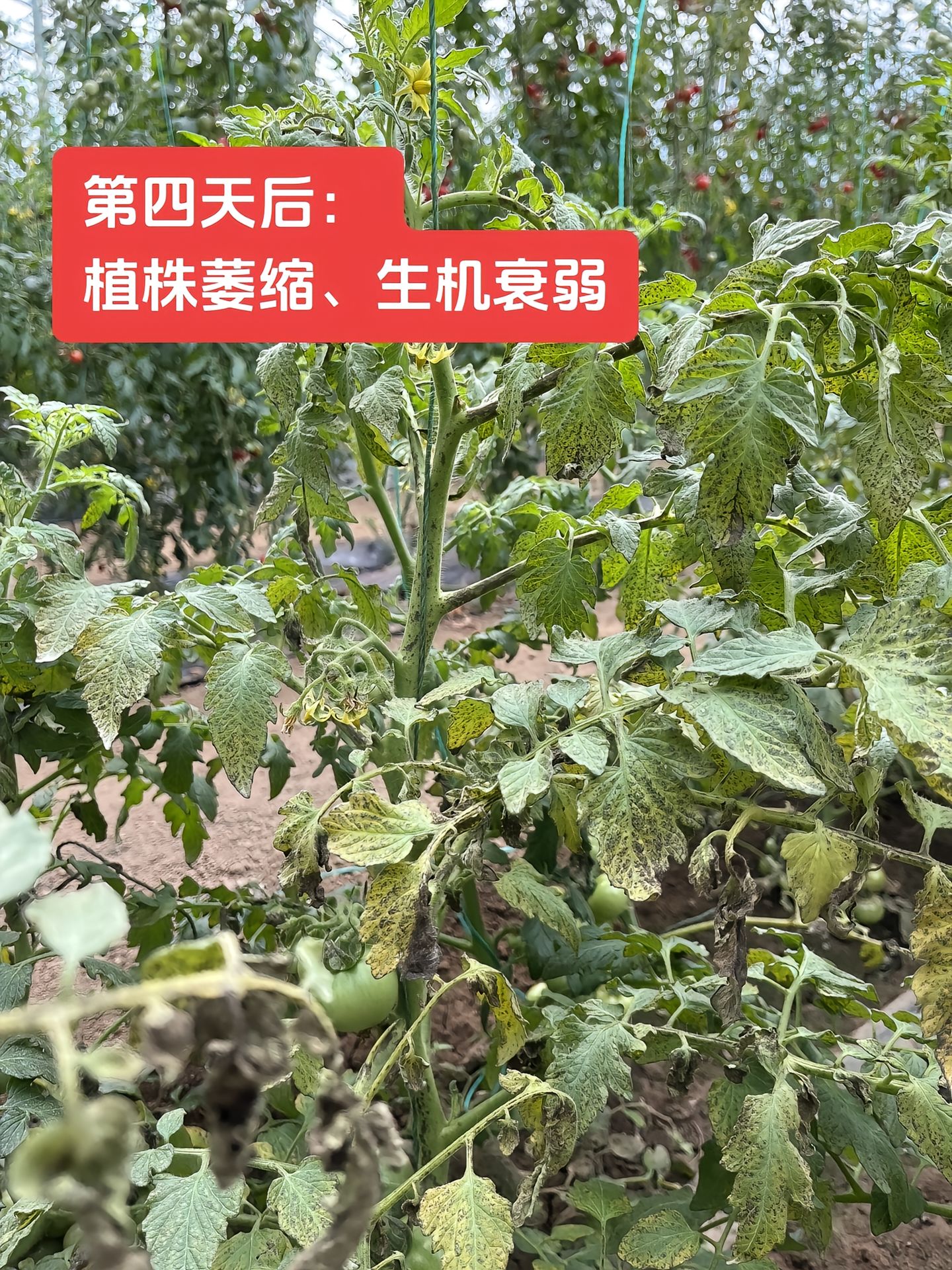 https://static.ixuenong.com/pxn/uploads/prod/thirdfile/2025/04/3c5419b5e692fc413041c77018eb81e8.jpg