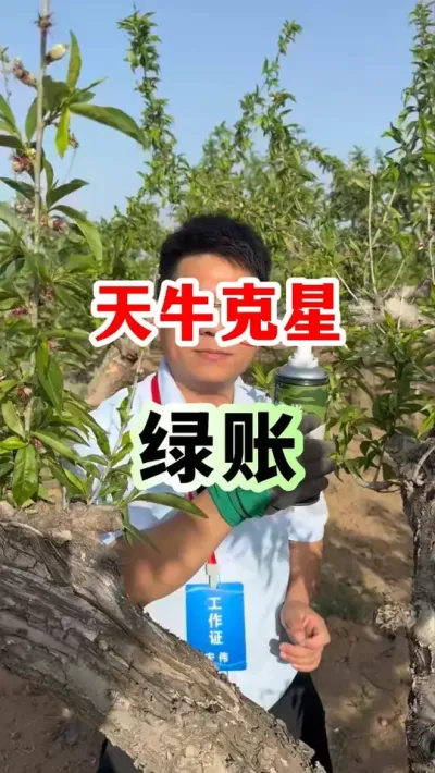 ������ţ������ #����ݪֲ #������ũ֧����ũ   #��԰����  #�������溦����  #ũҵݪֲ