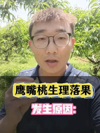 ӥ����Ӳ�����������������ô���� #ӥ���� #������������  #������� #������ѧũ�� #��������