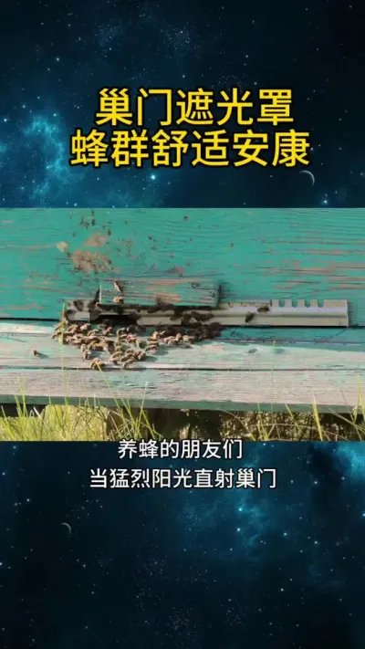 ڹַȺ񾲰 #ڹ# ##ũ