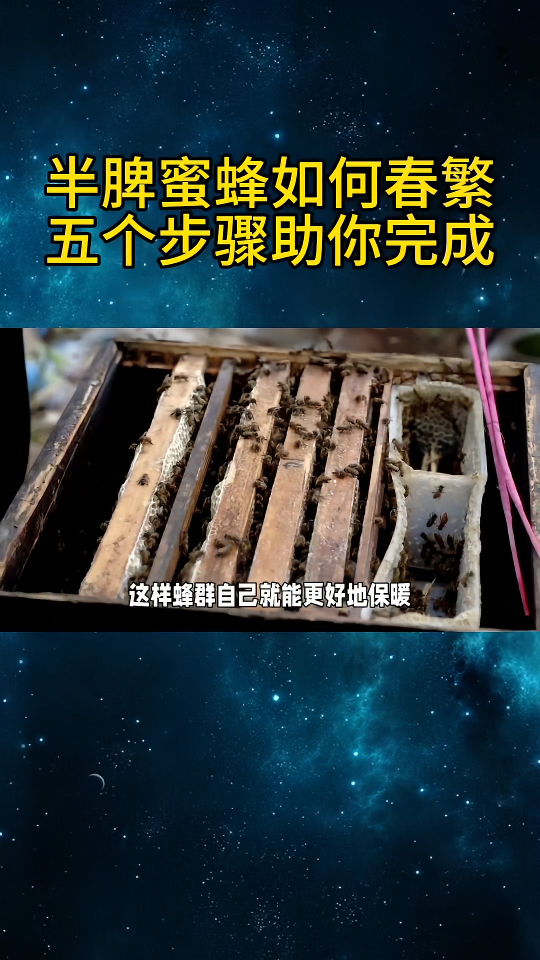 https://static.ixuenong.com/pxn/uploads/prod/thirdfile/2025/04/4b02ee2805f105f181ab8e09866bac9a.jpg