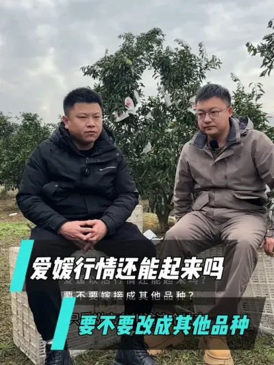 ԺҪ޽ӵʱҪҪĳƷ#