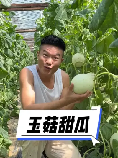 �������������� #�ҵ��������� #��ũ #��ũ������2025 #�ÿ�ɽ����Ʒɽ�� #�����ػ���