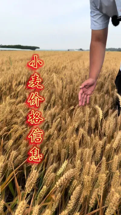 2024С¼ǮϢũһע#ũ # #עַ֪ʶ # #ũֵؽֹ