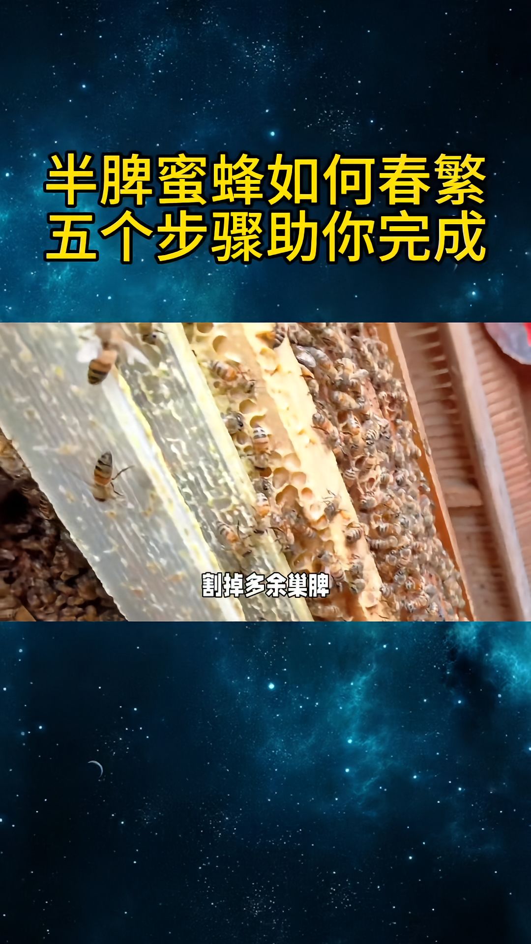 https://static.ixuenong.com/pxn/uploads/prod/thirdfile/2025/04/54551922564607c843629ba1ef17efc1.jpg