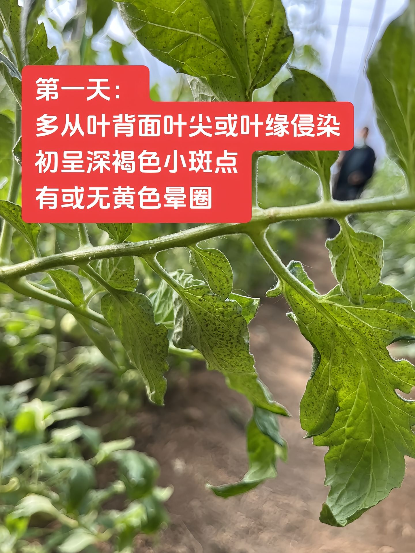 https://static.ixuenong.com/pxn/uploads/prod/thirdfile/2025/04/5591ca894a508de7b8d301db22cd5a00.jpg