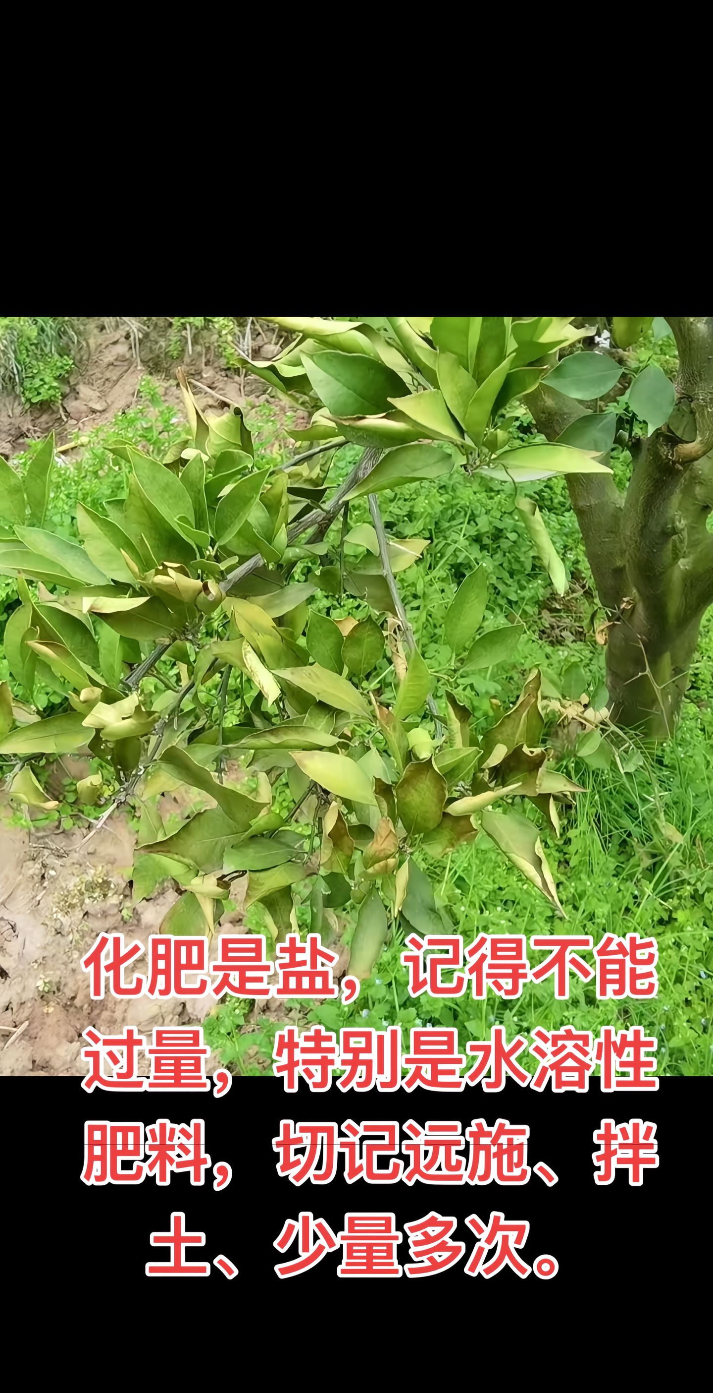 https://static.ixuenong.com/pxn/uploads/prod/thirdfile/2025/04/5a6337b7794c96f3b244d386a3824a9b.jpg