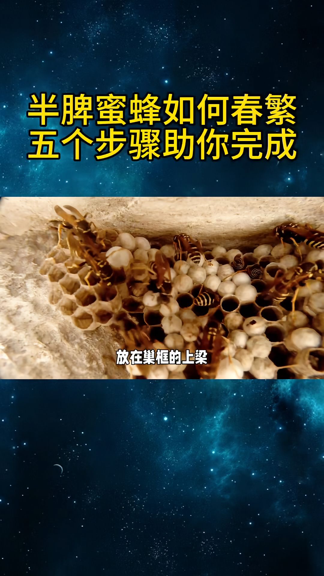https://static.ixuenong.com/pxn/uploads/prod/thirdfile/2025/04/5bbebbf026d42af5baa623f7bbb7b10a.jpg