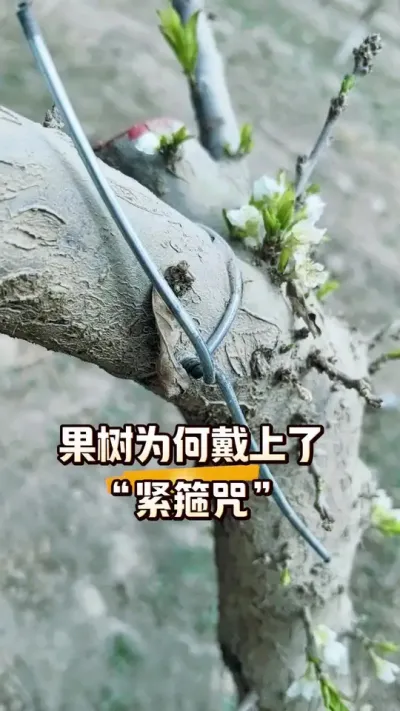 Ϊδ“”## #ũ#ũշͬ