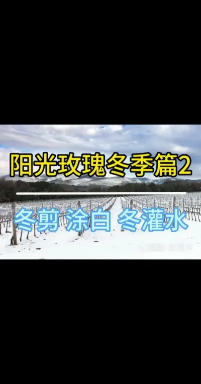 #õ # #ݪֲ #ũҵС֪ʶ #ũ2023