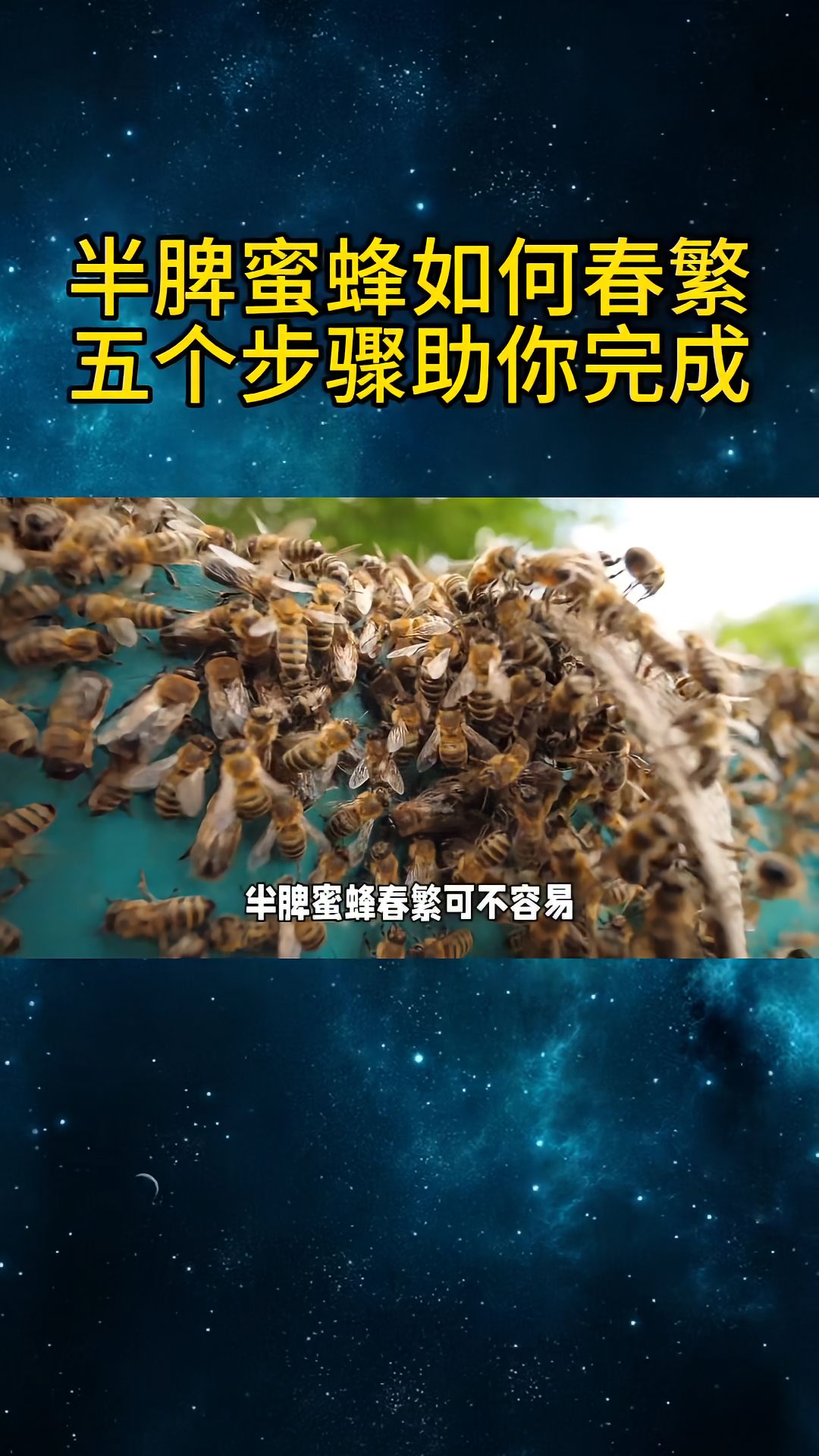 https://static.ixuenong.com/pxn/uploads/prod/thirdfile/2025/04/64de7bbc5e120995a699c8e9fa8bf770.jpg