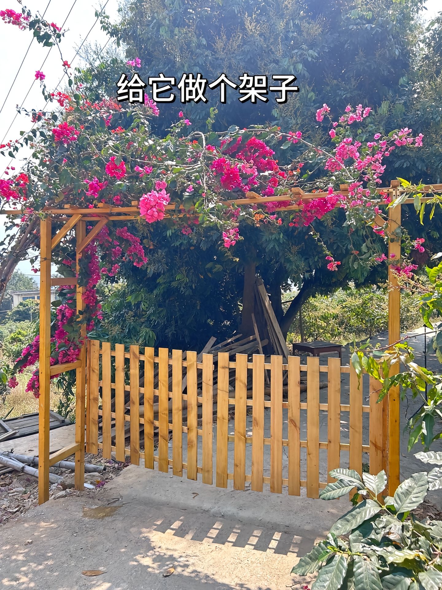https://static.ixuenong.com/pxn/uploads/prod/thirdfile/2025/04/6761db7a41d13d52f7161e4d2ec42e9d.jpg