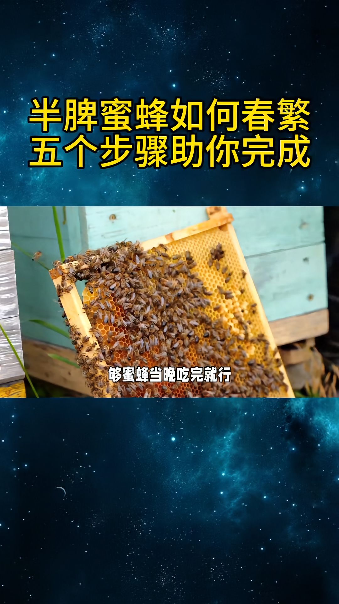https://static.ixuenong.com/pxn/uploads/prod/thirdfile/2025/04/6aa5426bbe9d82047fab021da8b07941.jpg