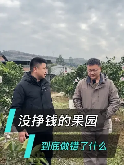 没挣钱的果园，到底做错了什么？#农业技术推广