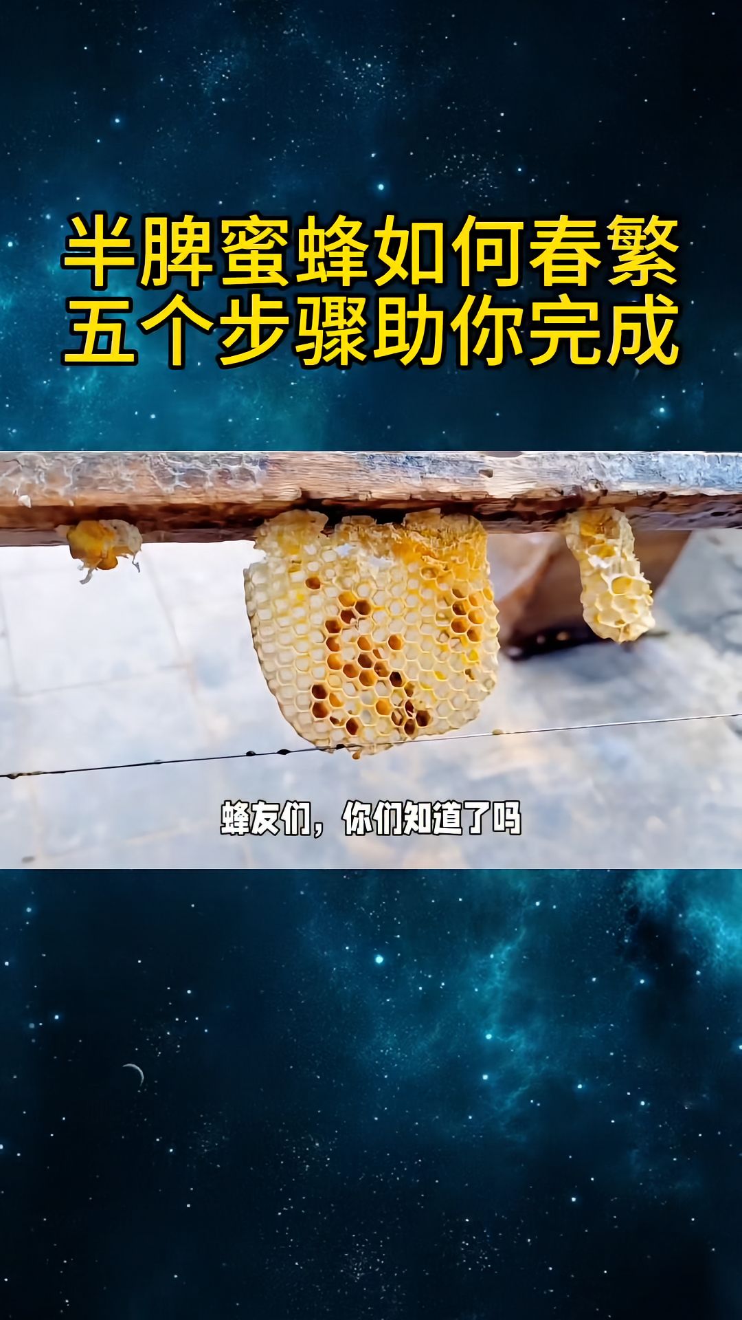 https://static.ixuenong.com/pxn/uploads/prod/thirdfile/2025/04/6c0c0573d6cfe1876e31376e35d7302c.jpg