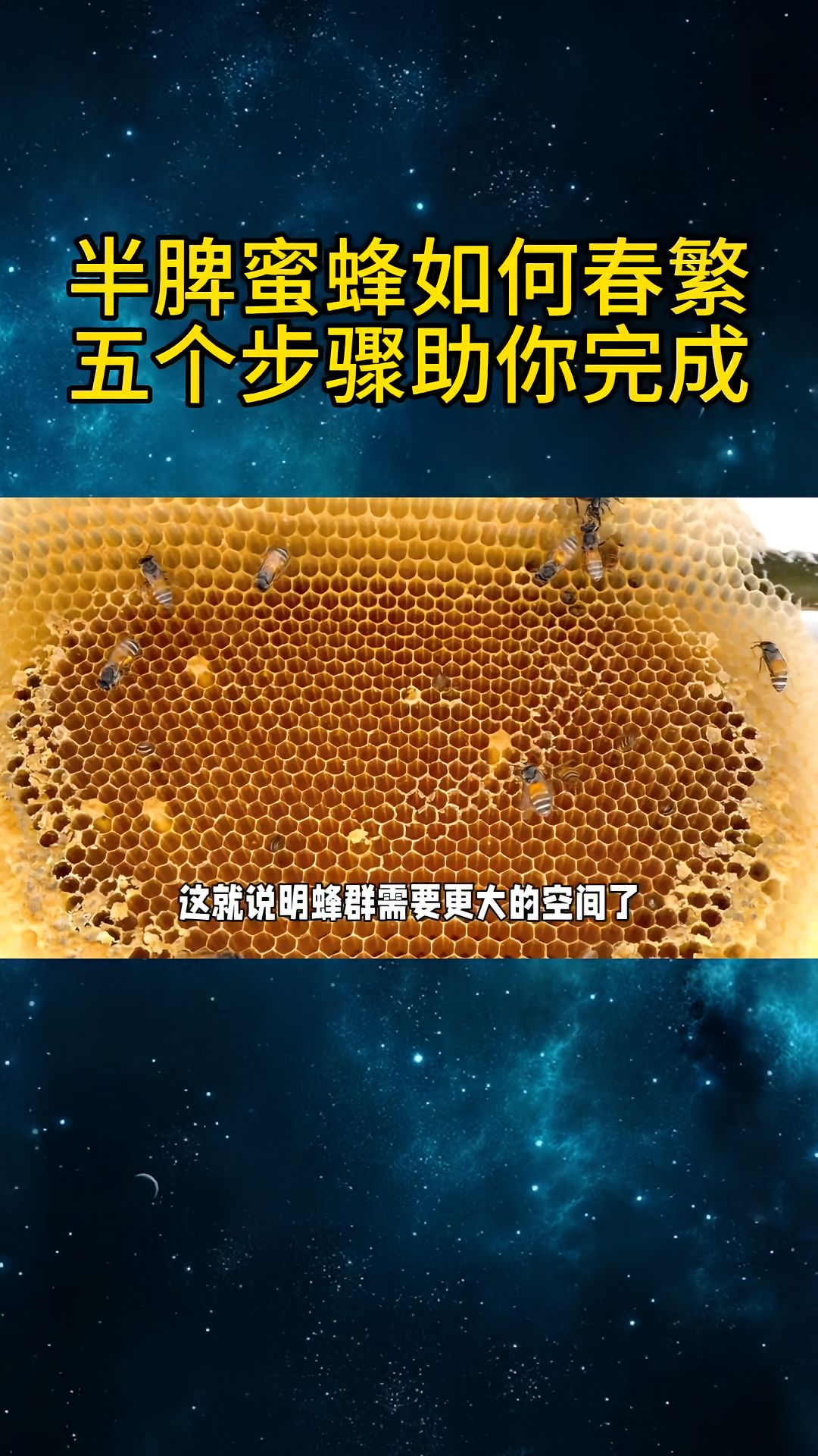 https://static.ixuenong.com/pxn/uploads/prod/thirdfile/2025/04/6d6d3f7c8499d3cac96f9a9255d43dff.jpg